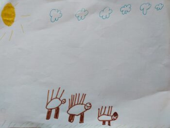 Dessin de Amélien