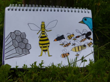 Dessin de Felie