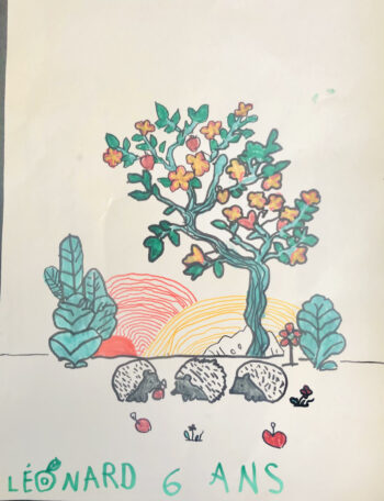 Dessin de Léonard