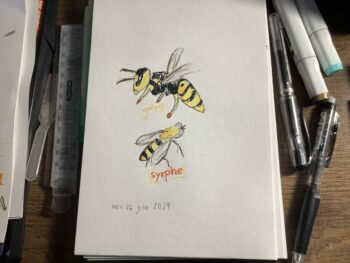 Dessin de Jules