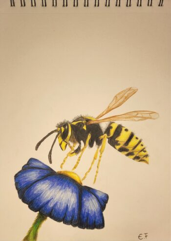 Dessin de Emma