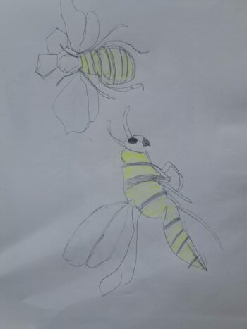 Dessin de Eleonore