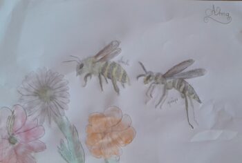 Dessin de Anna