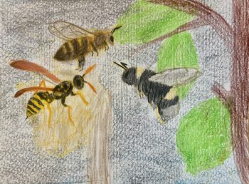Dessin de Louana