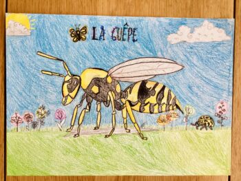 Dessin de Charlotte