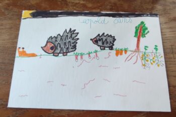 Dessin de Leopold