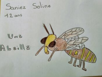 Dessin de Soline