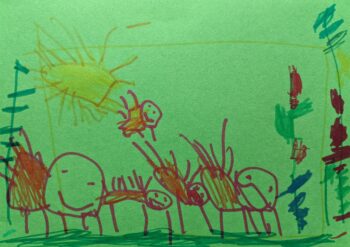 Dessin de Adrien 