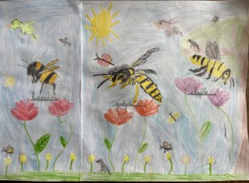 Dessin de Julia