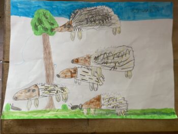 Dessin de Yldune