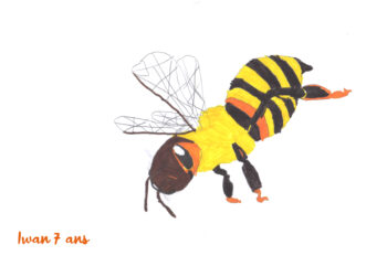 Dessin de Iwan