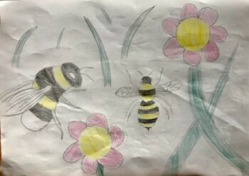 Dessin de Jules