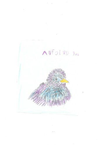 Dessin de Antoine