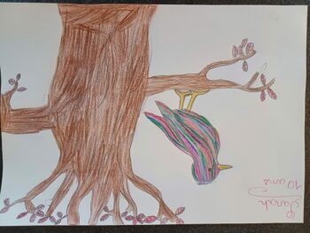 Dessin de Sarah