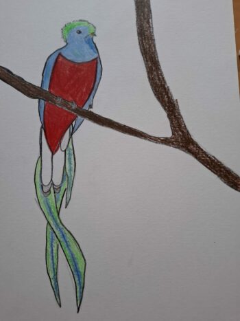 Dessin de Apostolos 