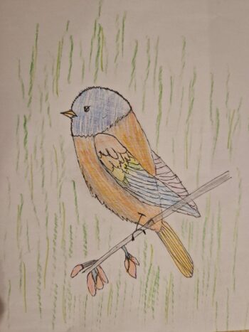 Dessin de Lya