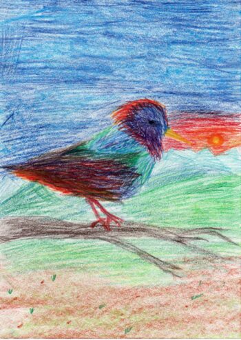 Dessin de Martin