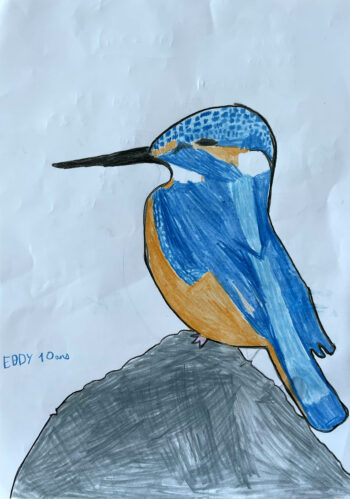 Dessin de Eddy