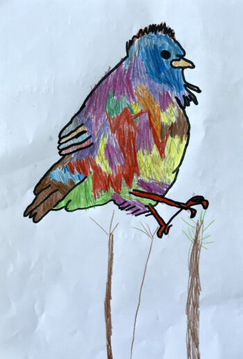 Dessin de Timothy