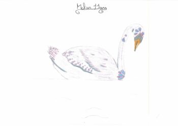 Dessin de Melian
