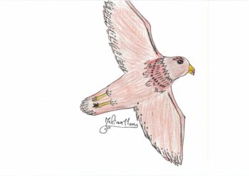 Dessin de Melian