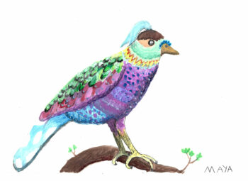 Dessin de maya