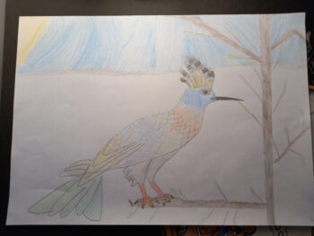 Dessin de Diane
