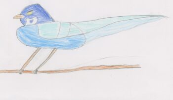 Dessin de Lina
