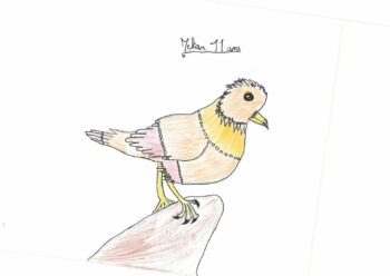 Dessin de Mélian