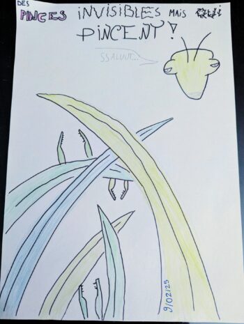 Dessin de Sarah 