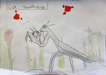 Dessin de Elinor