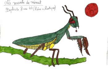Dessin de Baptiste