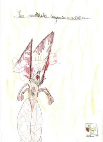 Dessin de Mika
