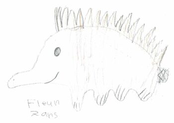 Dessin de Fleur