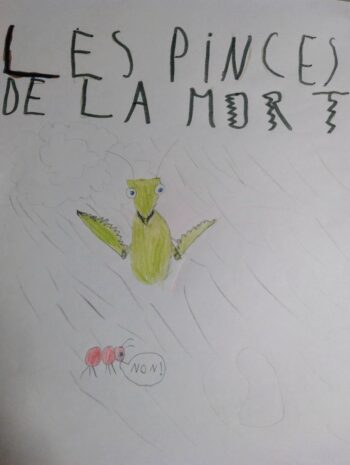 Dessin de Thelma