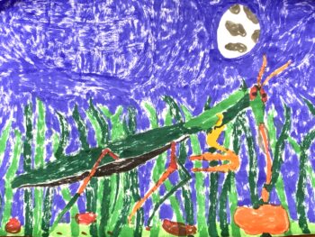 Dessin de Anaïs