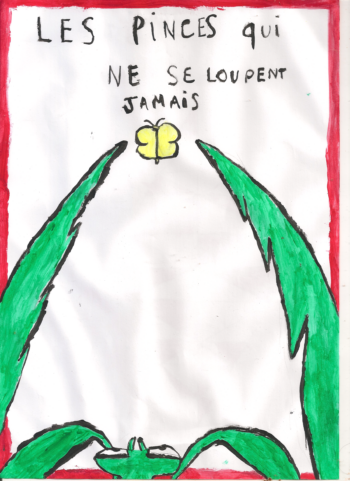 Dessin de Pierre