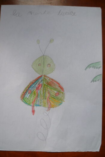 Dessin de Matteo