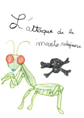 Dessin de Capucine