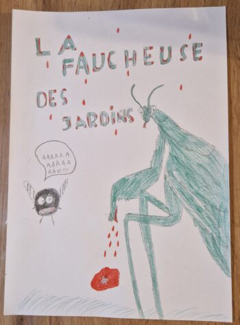 Dessin de Robin