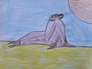 Dessin de Augustin