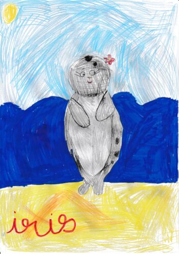 Dessin de Iris 