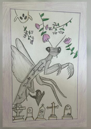 Dessin de Alice