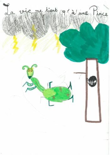 Dessin de Paloma