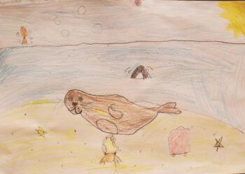 Dessin de Raphael