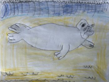 Dessin de Marius