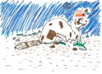Dessin de Soline