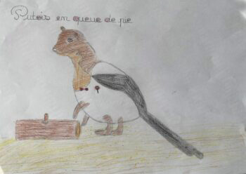 Dessin de Suzanne 