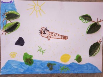 Dessin de Dunvel