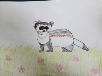 Dessin de Lenaya